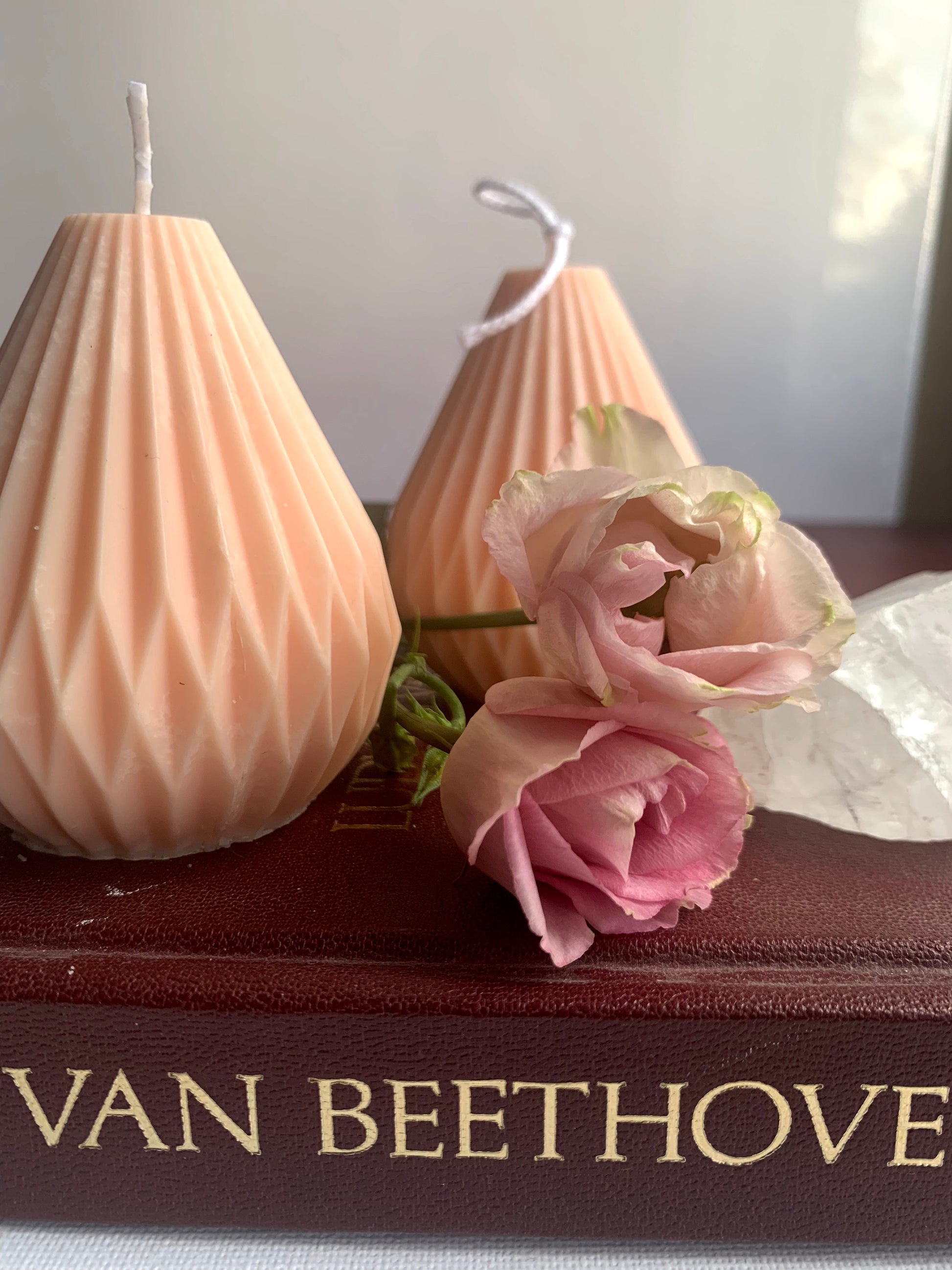 Zu sehen sind zwei Kerzen aus Sojawachs in einem zarten pink peach. Die Form ähnelt wegen des detaillierten Musters gewissen Papierlaternen. Im Vordergrund sind zwei pinke Rosen zu erkennen. 
